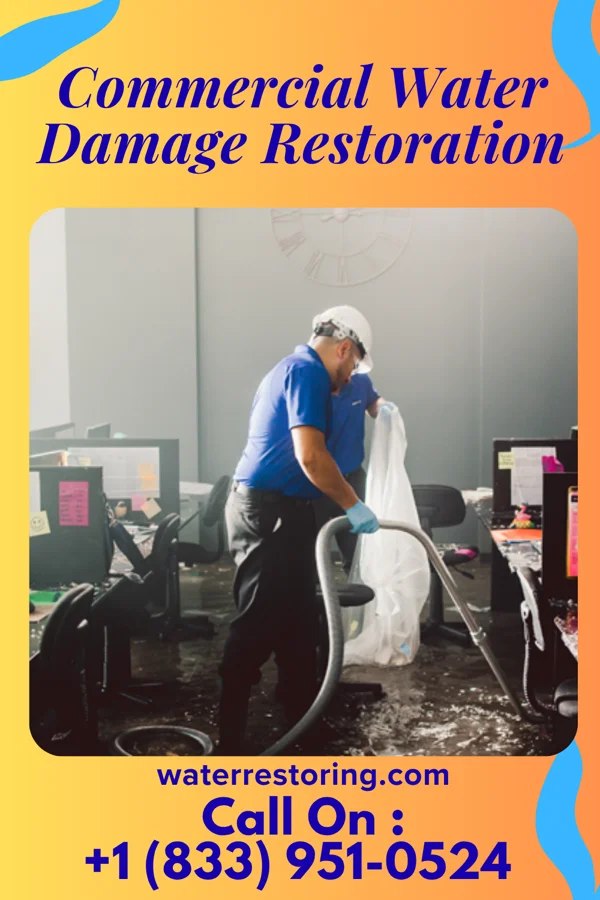 Commercial Water Damage Restoration in Rickardsville, IA