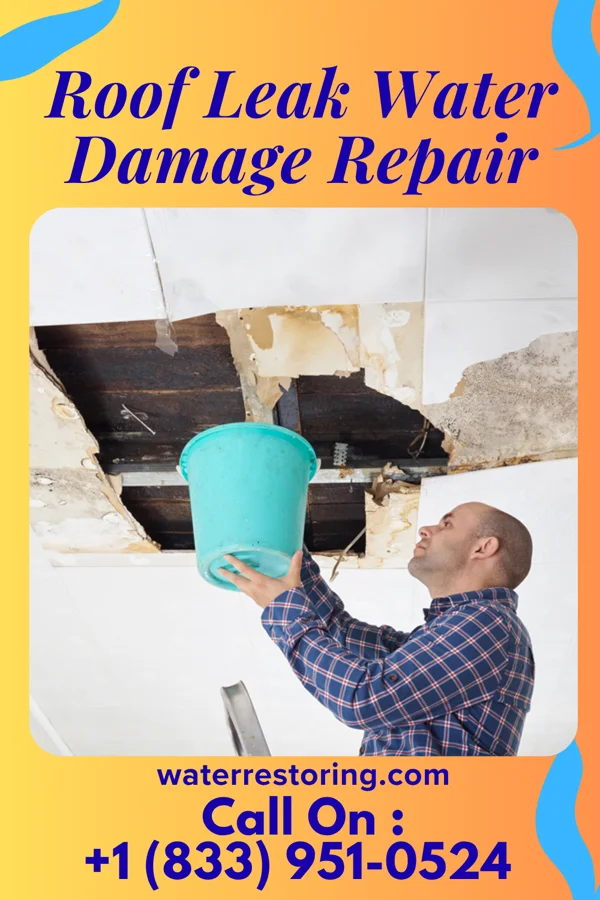 Roof Leak Water Damage Repair in Rickardsville, IA